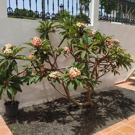 Punta Negra Apartment Puerto de Santiago (Tenerife)